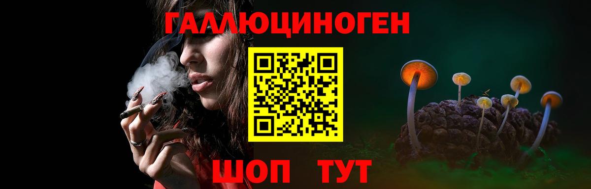 Псилоцибиновые грибы Psilocybine cubensis  Вход с VPN  Лабинск 